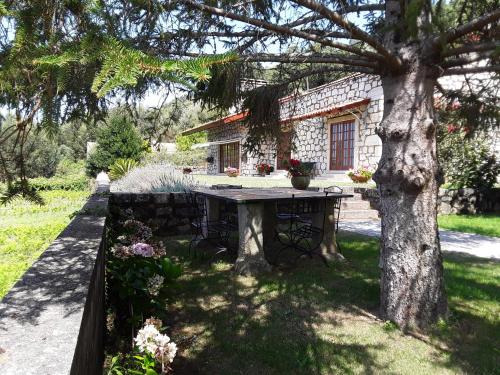 a picnic table under a tree in front of a house at Casa De Crespins Casa de Campo Lda in Cristelo