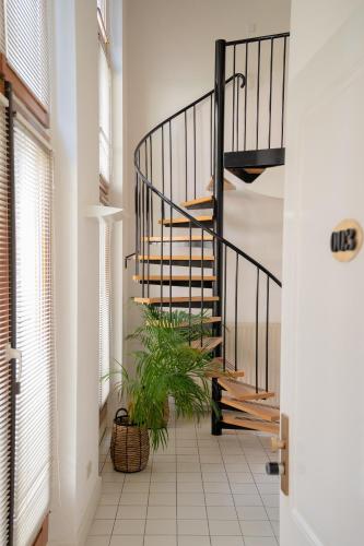 a staircase in a hallway with a potted plant at The Velvet Lodge in The Hague