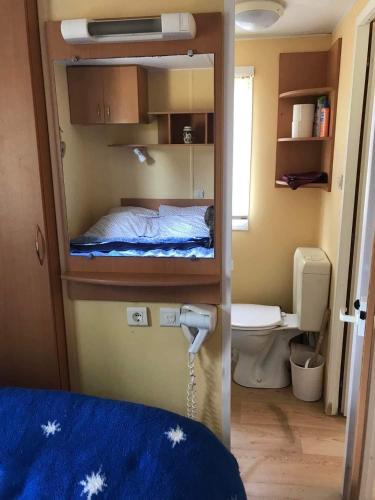 Cette petite chambre comprend un petit lit et une petite salle de bains. dans l'établissement Mobil Home à la ferme, à Saint-Martin-de-la-Mer