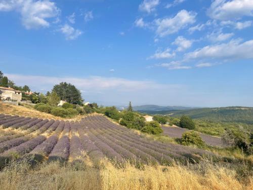 VachèresにあるGîte l’Inattenduの青空の丘のブドウ畑