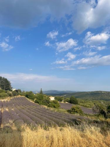 un campo de cultivos en una colina con un cielo azul en Gîte l’Inattendu en Vachères