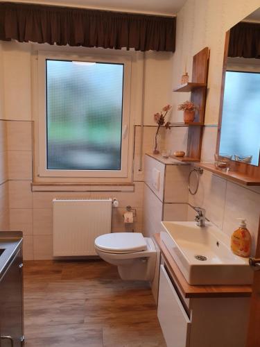 a bathroom with a toilet and a sink and a window at Fewo TaLuLa - Sauerland mit Hund in Medebach