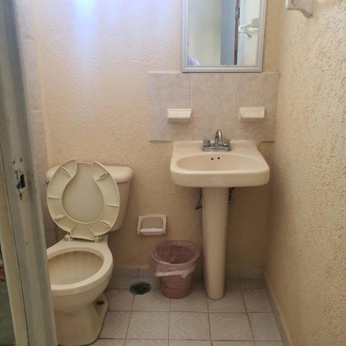 a small bathroom with a toilet and a sink at Hotel Jar8 Boca -Cerca WTC y plazas comerciales- in Veracruz