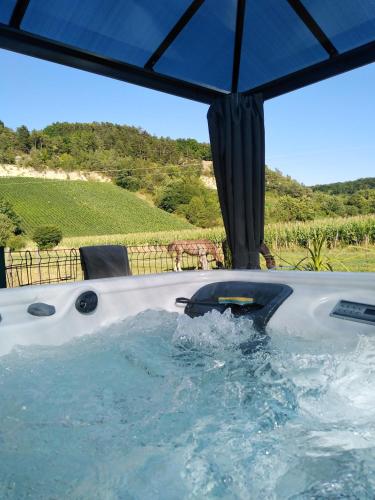 une baignoire jacuzzi avec un parasol et une vue sur un champ dans l'établissement l'échappée belle en Champagne, à Spoy