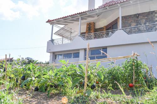 Taman di luar Villa Esperanza