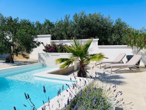 a pool with two chairs and a palm tree in a yard at Apartments and Rooms Mateša in Vodice