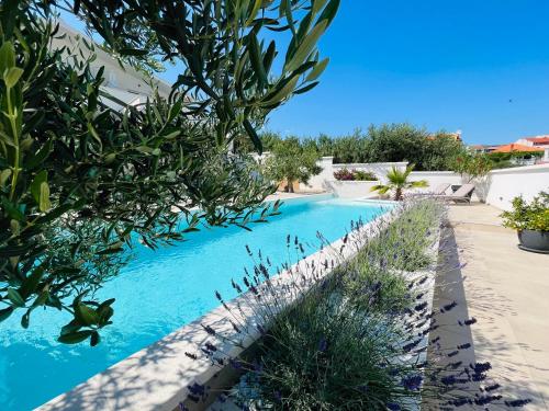 a swimming pool in the middle of a yard with plants at Apartments and Rooms Mateša in Vodice