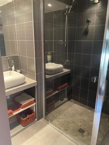 La salle de bains est pourvue d'une douche et d'un lavabo. dans l'établissement El pati català, à Fourques