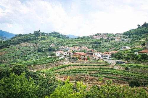 メザン・フリーオにあるCasa Avós D'Ouro - Barqueiros, Mesão Frio, Douroの丘の中腹の小さな村