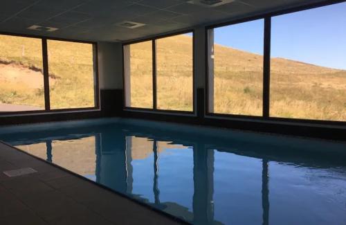 Cette chambre dispose d'une piscine d'eau et de fenêtres. dans l'établissement La forêt des Marmottes, à Besse-et-Saint-Anastaise