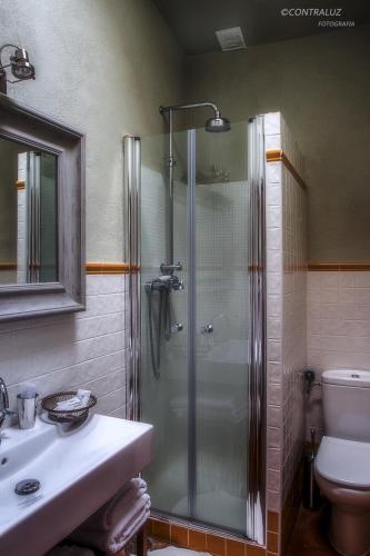 a bathroom with a shower and a toilet and a sink at La Posada De Lola in El Molar