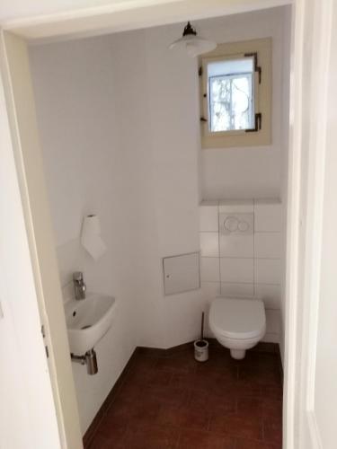 a small bathroom with a toilet and a sink at Ferienwohnung mit Charme in Dresden Pillnitz EG in Dresden