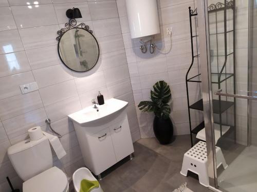 a bathroom with a toilet and a sink and a mirror at Domek babci Marysi in Krasnobród