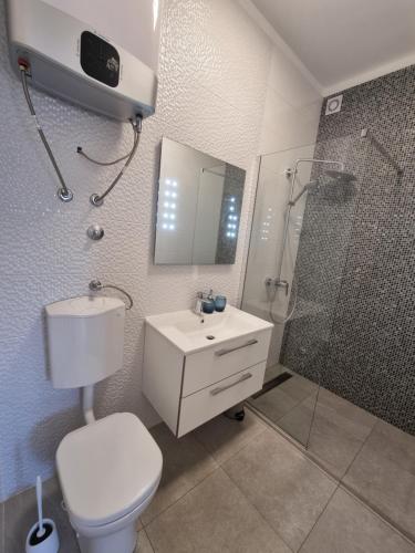 a bathroom with a toilet and a shower and a sink at Villa Madison in Posedarje