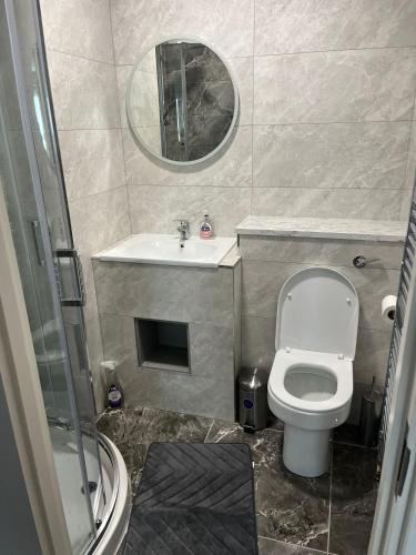 a small bathroom with a toilet and a sink at Atlantic Port Retreat in Portstewart