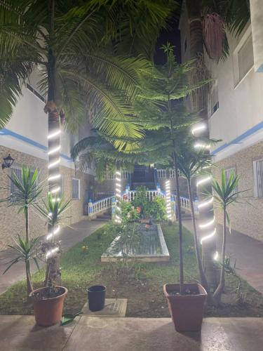 une cour avec des palmiers dans un bâtiment éclairé dans l'établissement Appartement Martil 3 chambres proche de centre ville 5mn à pied et la plage 10mn à pied et 10mn de aeroport Tetouan en voiture, à Martil