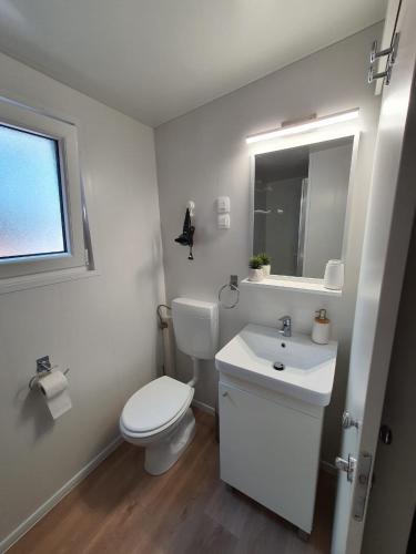 a white bathroom with a toilet and a sink at Mobile home Linico in Biograd na Moru