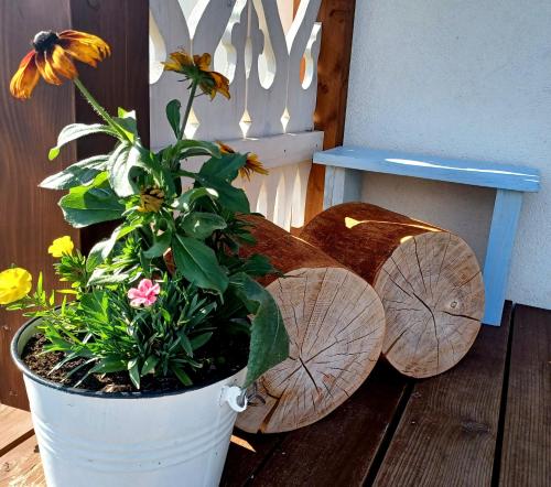 a plant in a pot sitting next to a bench at Gazdówka - najlepsza miejscówka domek w Pieninach in Krościenko