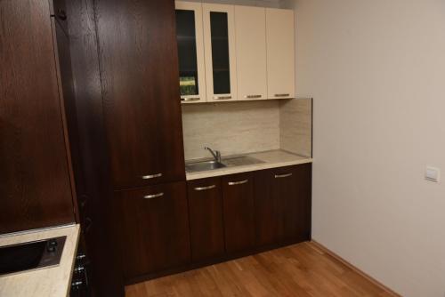 Dapur atau dapur kecil di Luxury apartment Pravets Golf and SPA - част от комплекса Hyatt