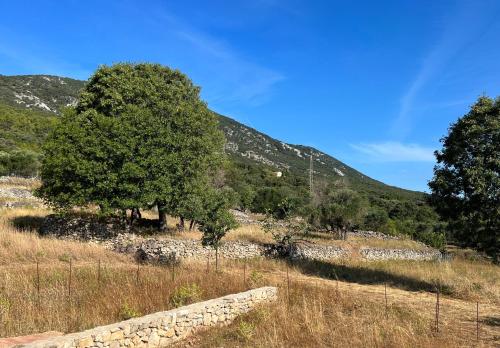 Gallery image of Podgora Experience Suite II in Nerezine