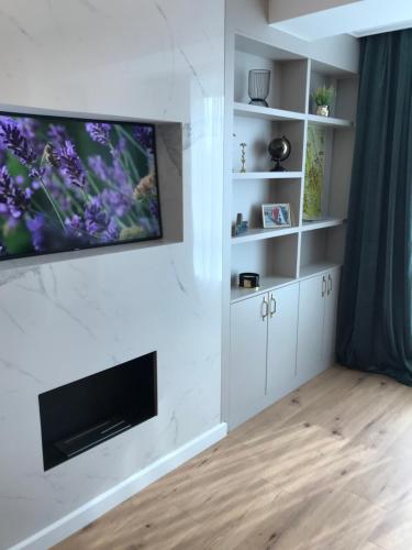 uma sala de estar com lareira e uma televisão de ecrã plano em Sunny Apart Hereditas em Ipoteşti