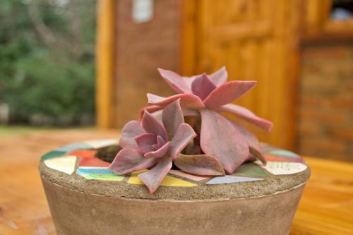 a vase with pink flowers on top of a table at Cabañas Casiopea Lago Puelo in Lago Puelo