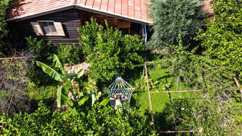 a yard with trees and a house in the background at Lemon Garden Lodge in Cıralı