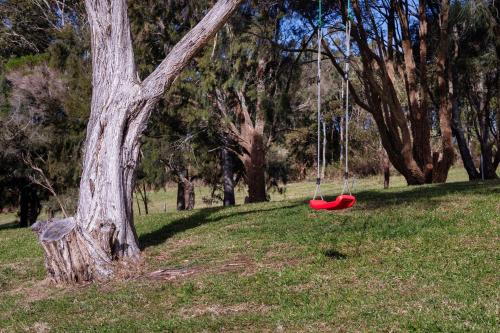 Ein Garten an der Unterkunft Willow House Gerringong