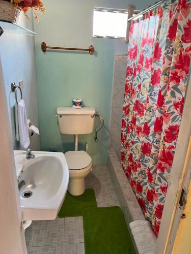 a bathroom with a sink and a toilet and a shower curtain at Shirvan Holiday Apartments One Bedroom in Canaan