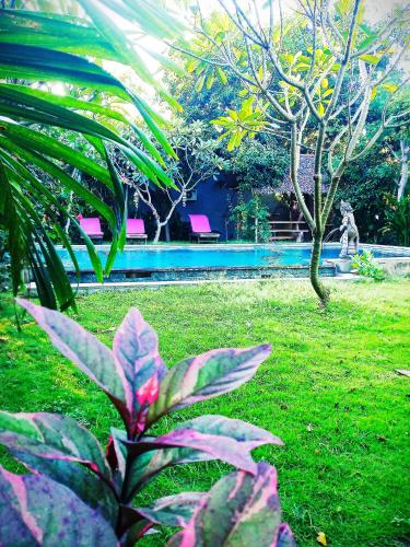a view of a park with a bench and trees at Mango Moon in Pemuteran