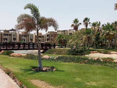 eine Palme inmitten eines Parks in der Unterkunft Blue Bay Asia Sokhna Aqua park بلو باي اسيا العين السخنه - عائلات فقط in Ain Suchna