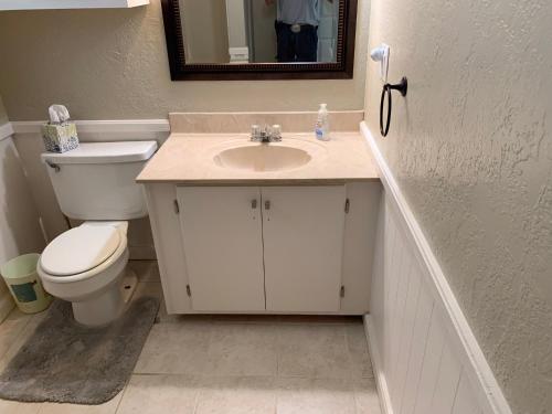 a bathroom with a toilet and a sink and a mirror at Cottage on Shalin Circle in Woodville