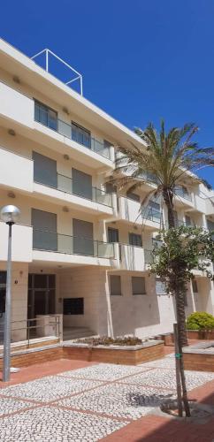 a building with a palm tree in front of it at Refúgio Villa Mar in Nazaré