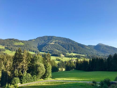 a green field with trees and mountains in the background at Apartment Heimatliebe in Scheffau am Wilden Kaiser