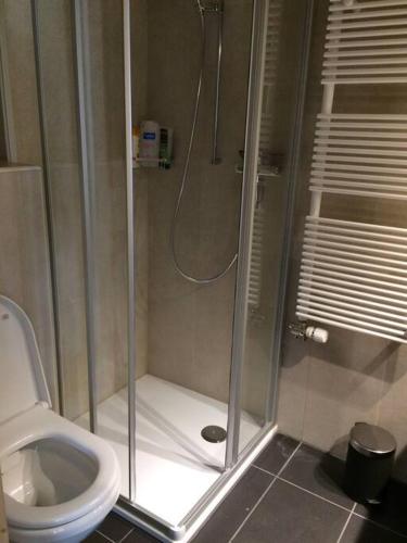 a bathroom with a shower and a toilet at Residence D Appartement 1 in Les Crosets