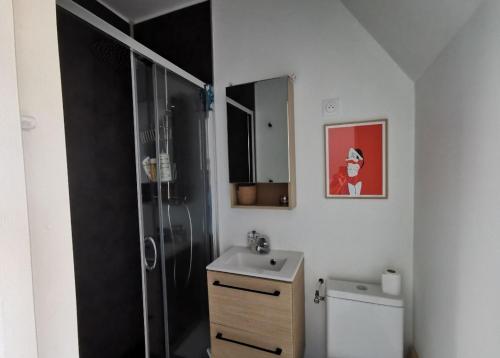 a bathroom with a shower and a sink and a toilet at Studio cosy au bord de mer in Lancieux