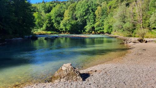 a river with a rocky shore with trees in the background at ECO River Camp in Radovljica