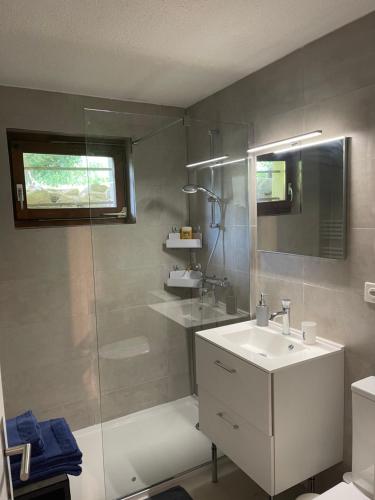 Koupelna v ubytování Superbe appartement avec vue et parking gratuit