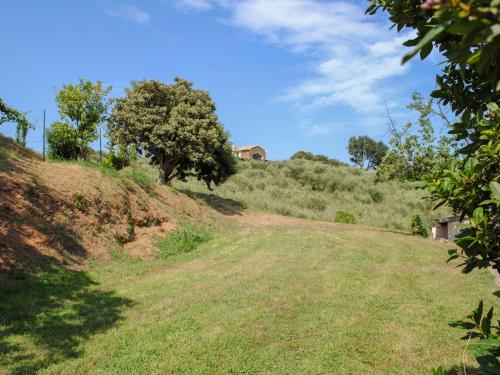a grassy hill with a tree on it at Holiday Home Maison Gerard by Interhome in Cervione