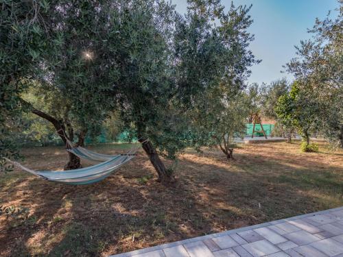Holiday Home Ruza by Interhome