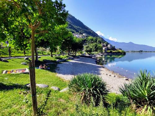 una vista de un río con gente sentada en el césped en Apartment Punto Lago by Interhome, en Verceia