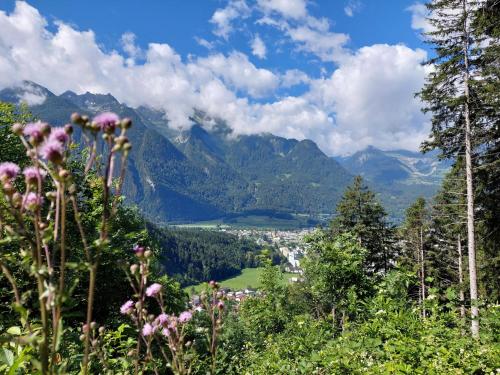 a view of a valley with mountains and flowers at "Haus am Illufer" Ihr Smart-Alpin-Home in Bludenz in Bludenz