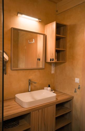 Bilik mandi di Apartmány u Kameníka - Třeboň