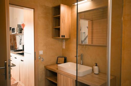 y baño con lavabo y ducha acristalada. en Apartmány u Kameníka - Třeboň, en Třeboň