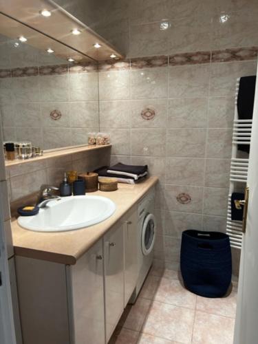 a bathroom with a sink and a washing machine at Splendid sea view 1 Bedroom access to the beach and swimming pool in Vallauris
