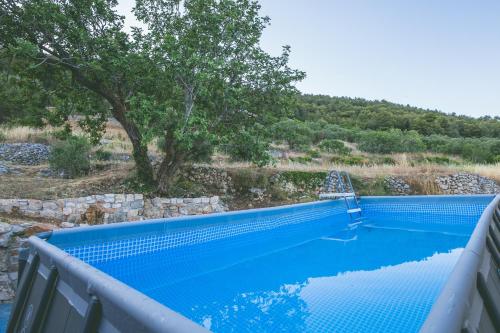 a swimming pool with blue water and a tree at Olive Hill Family House in Vis