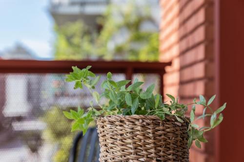 a plant in a wicker basket sitting on a balcony at The More Hotel Västra Hamnen in Malmö