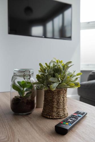 a remote control sitting next to two potted plants on a table at The Kitbag in West Runton