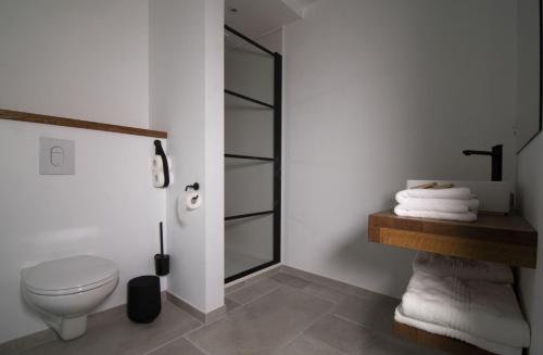 een badkamer met een toilet en een glazen douche bij 't pure genot in Dilsen-Stokkem