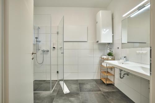 uma casa de banho com um chuveiro e um lavatório. em Haus am See Stubenberg em Buchberg bei Herberstein